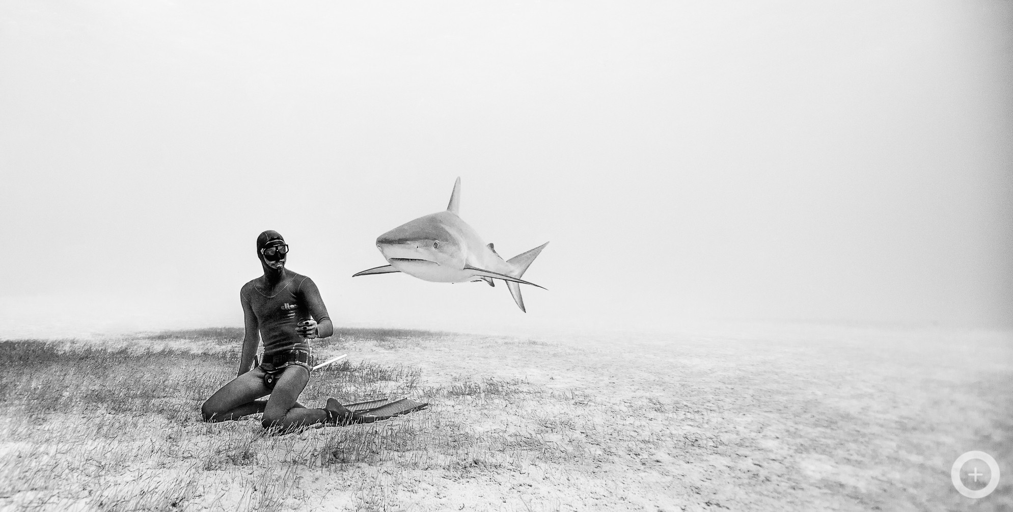 Semana Oceanica Buenos Aires Argentina