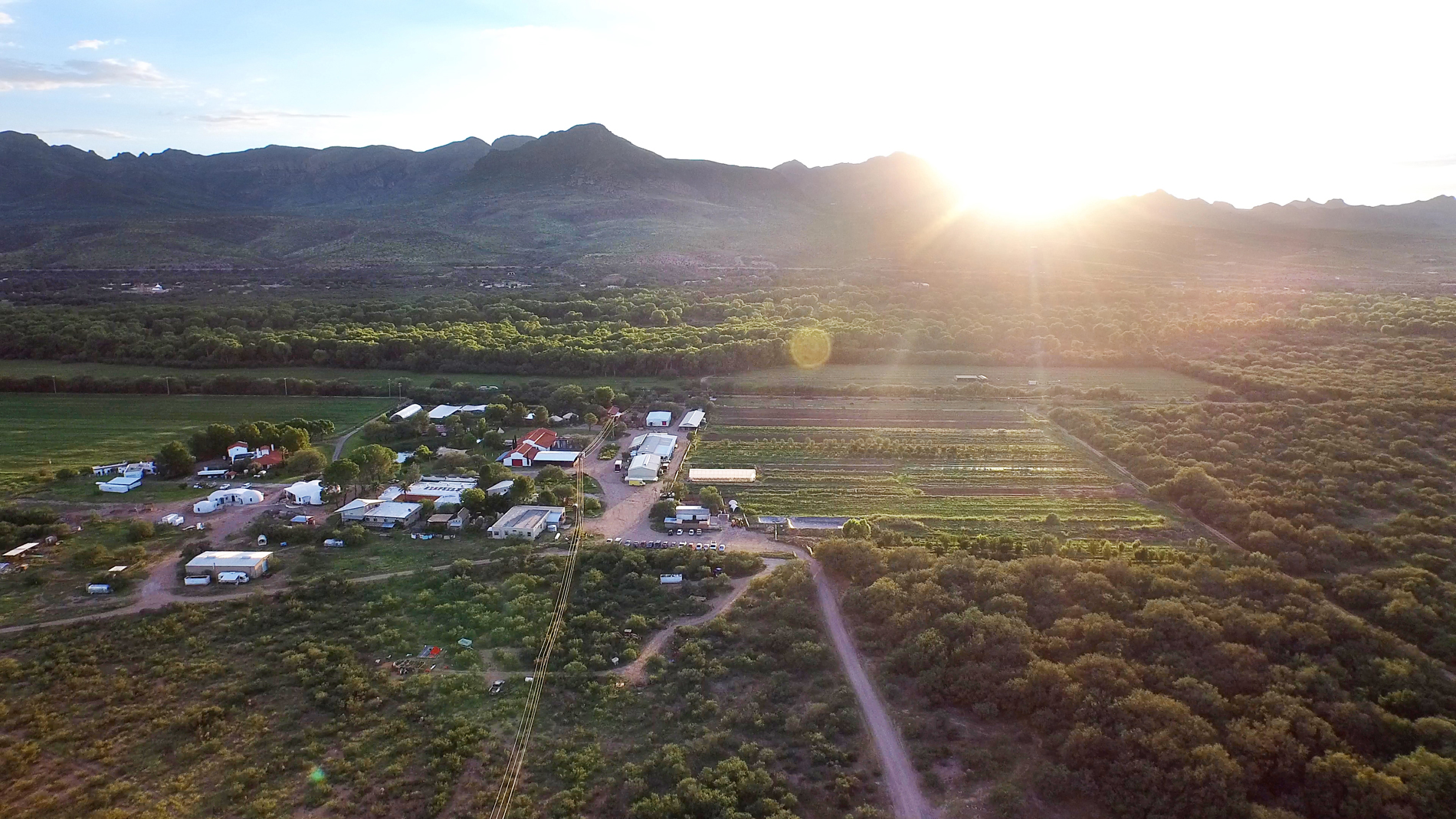 Earth Harmony Festival Arizona