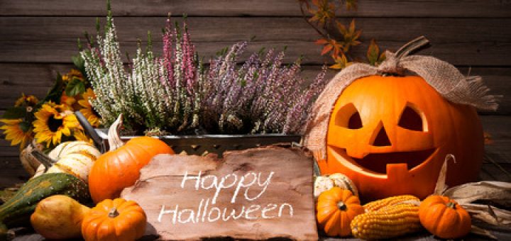 eco-friendly halloween