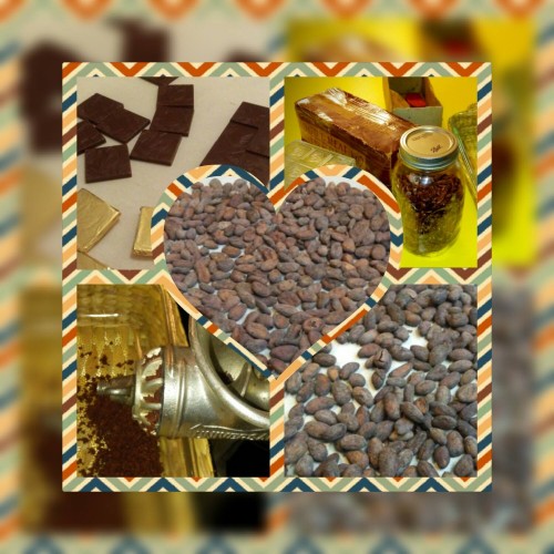 Bean-to-Bar Chocolate Making Workshop