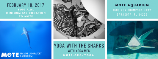 Yoga with the Sharks