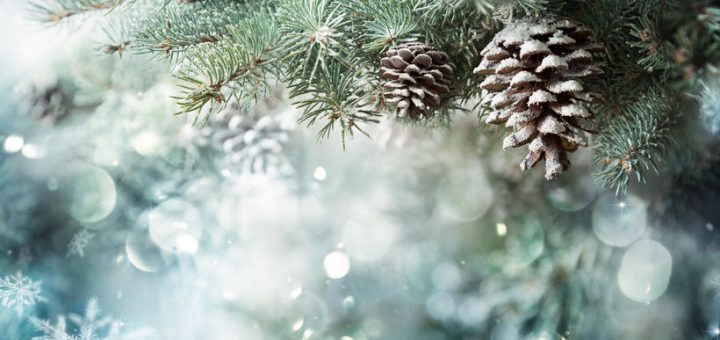 green Christmas