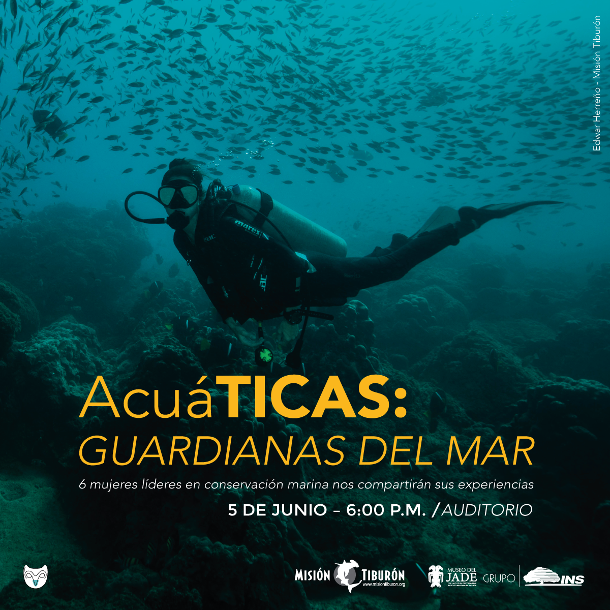 Guardian Acaticas Del Mar