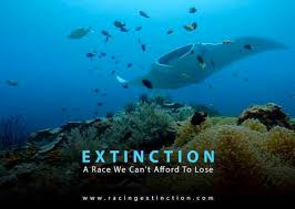 See THE Flim 'Racing Extinction'