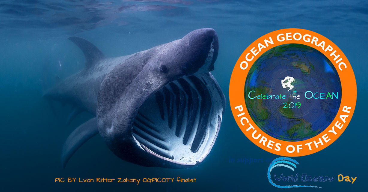 Ocean Geographic Photos of the Year Competition