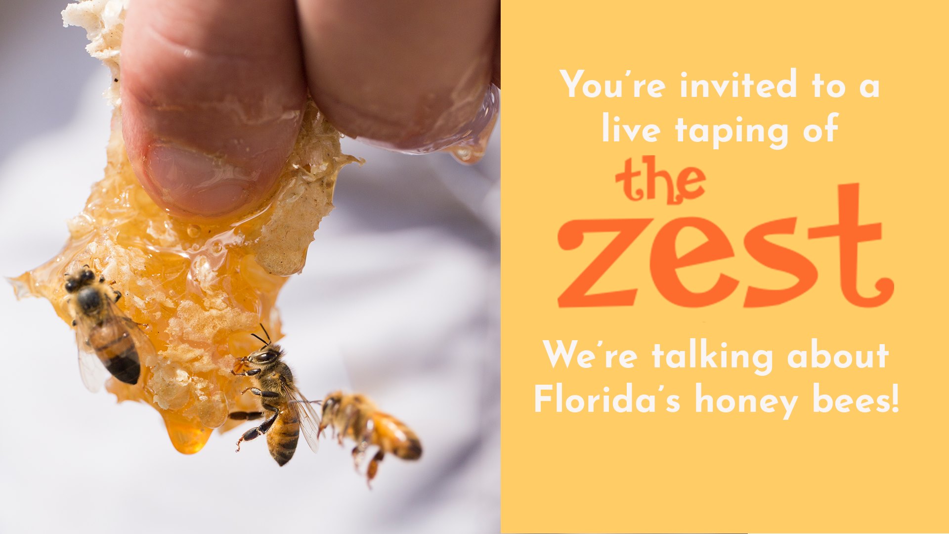 Hear the Buzz About Honey Bees