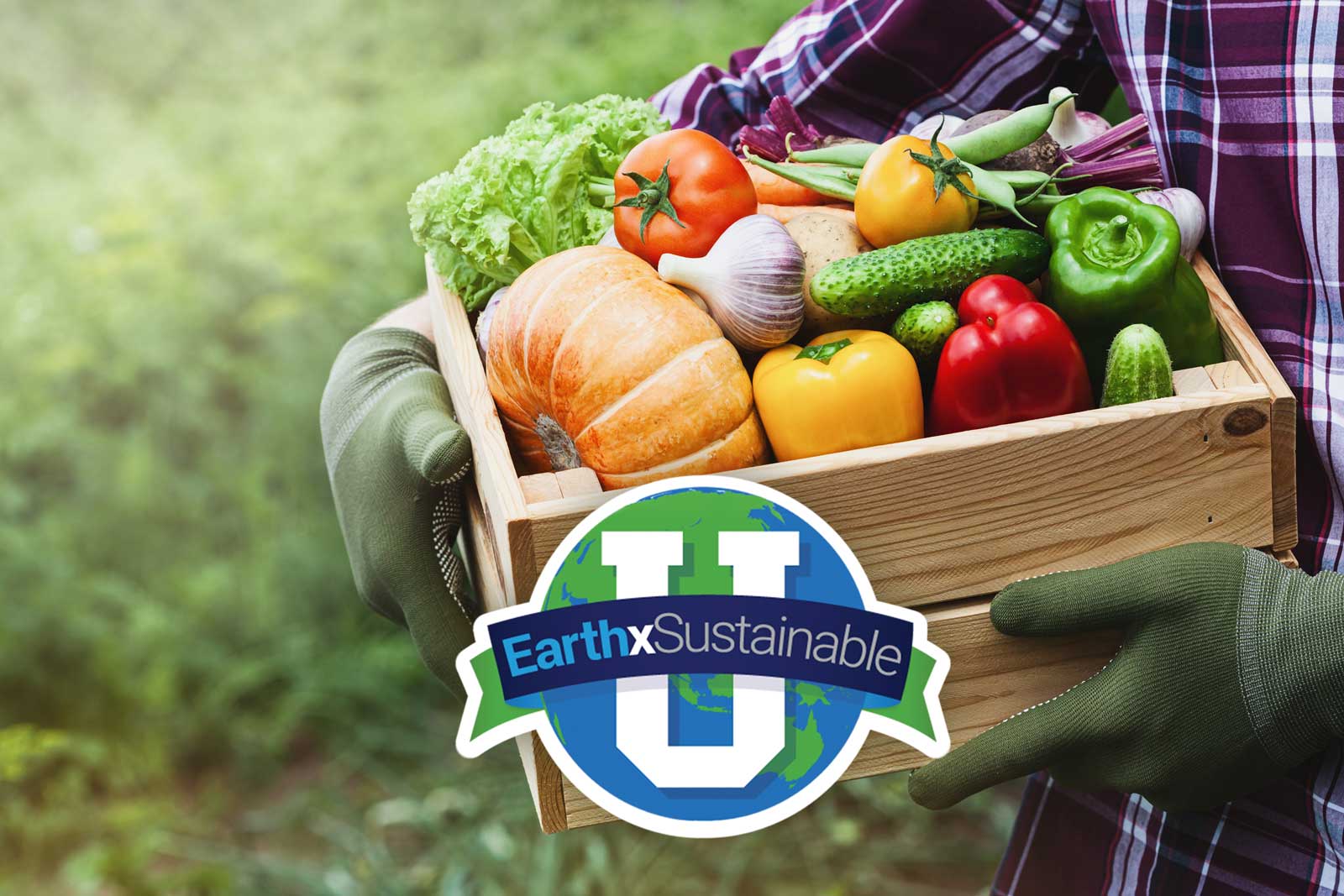 Earthx SustainableU: Oh, the Veggies You’ll Grow! What to Plant Now