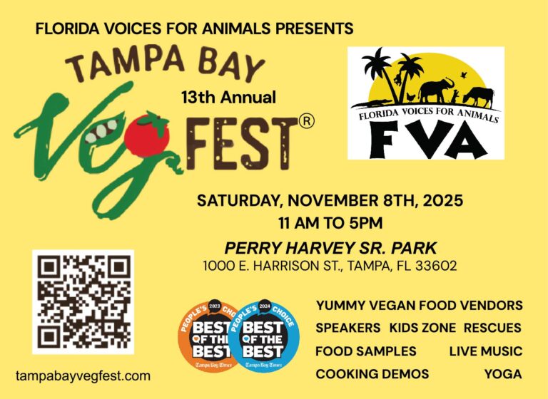 Tampa Bay Veg Fest