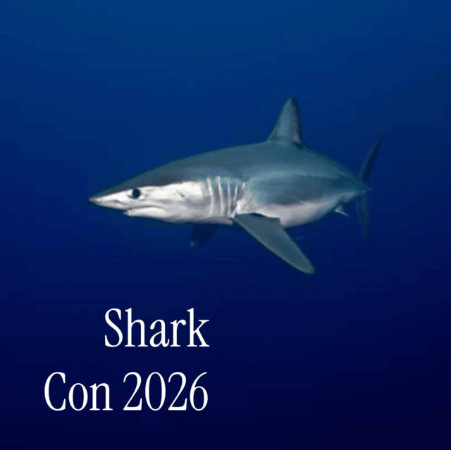 Shark Con 2026